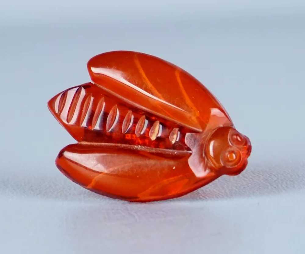 Vtg Red - Orange Clear Carved Plastic Cicada Bug … - image 5