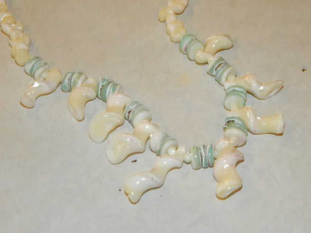 Sexy Mother Of Pearl Bib Style Necklace in Natura… - image 2