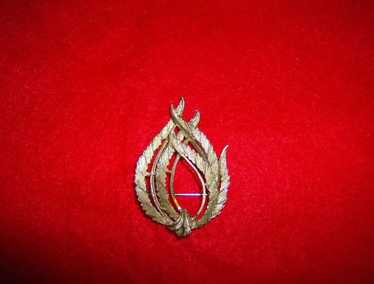 BSK Feather Brooch - image 1