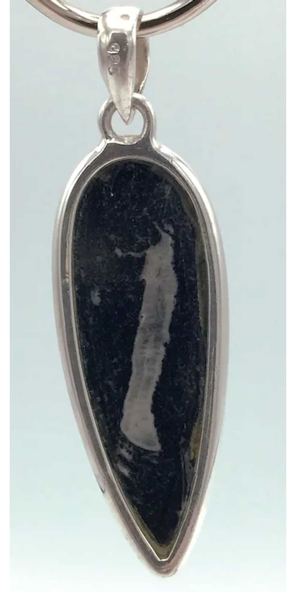 Orthoceras Fossil Pendant - Sterling Silver - image 3