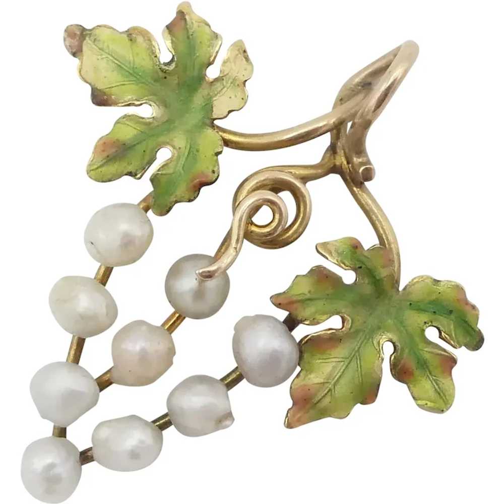 Antique Victorian 14K Gold Enamel & Pearl Grapes … - image 2