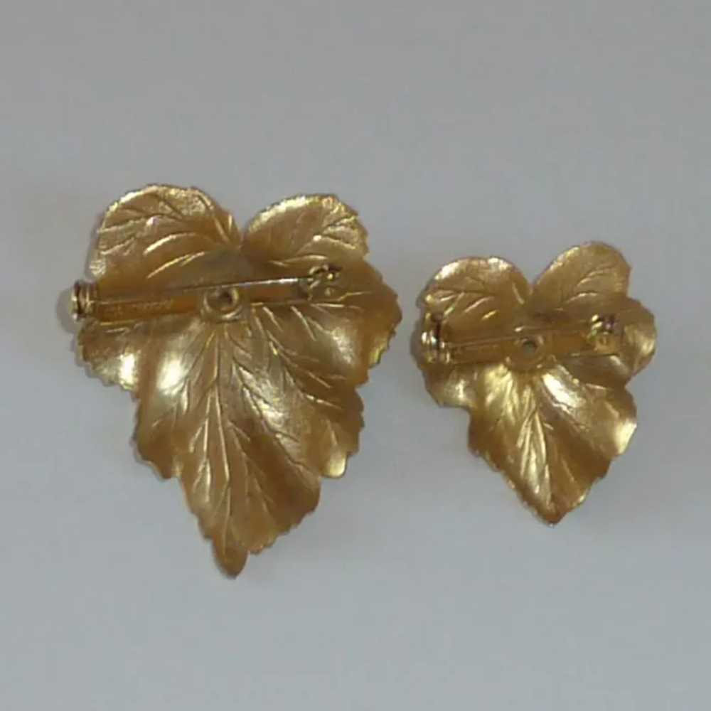 Sarah Coventry 1970’s Pin Set of Two Leaf with Fa… - image 2