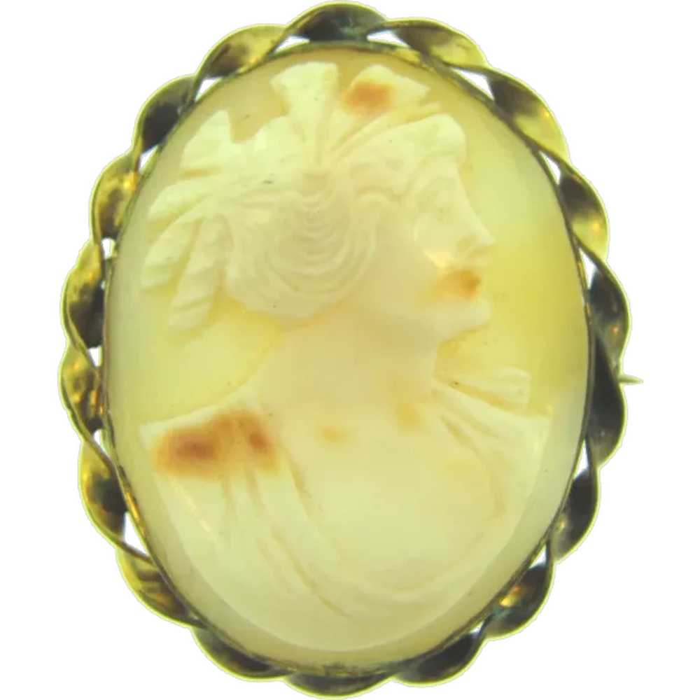Vintage shell Cameo Brooch in gold tone frame - image 1