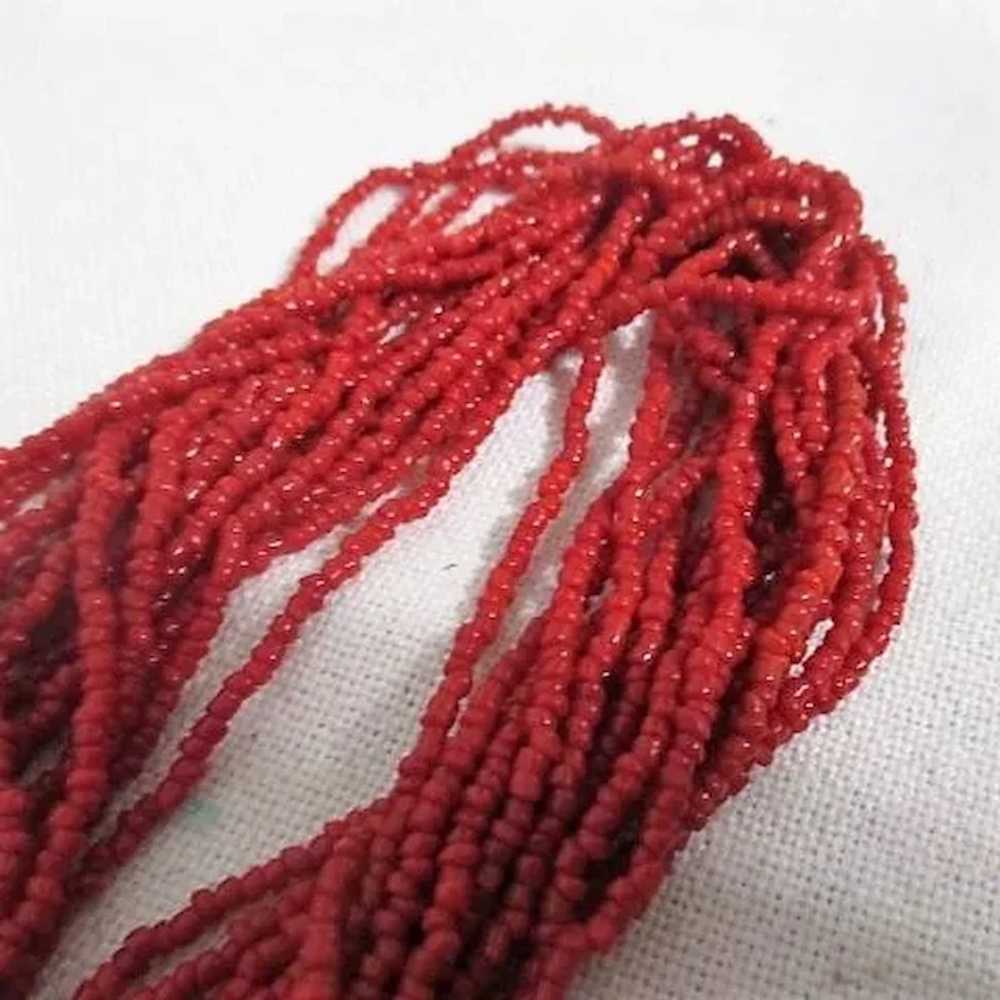 17 Strand Coral Bead Necklace - image 9