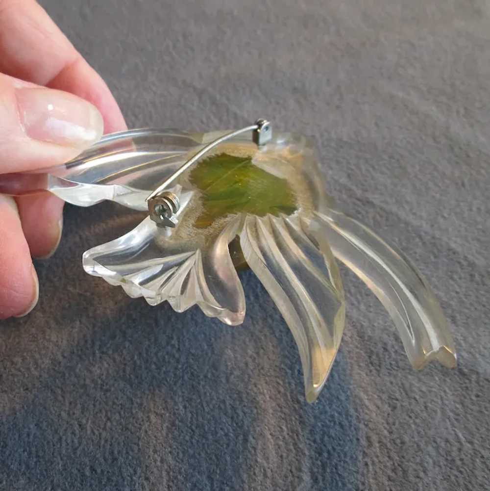Vintage Carved Lucite and Bakelite Angelfish Pin - image 5