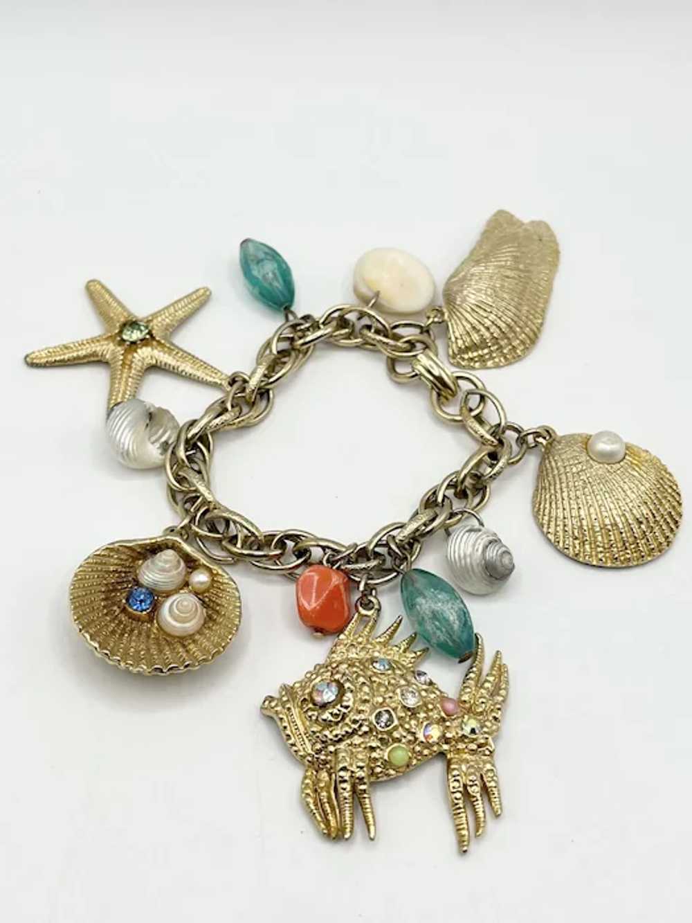 Vintage sea life shell - Gem