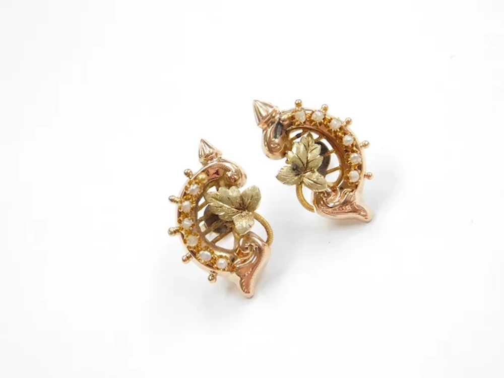 Victorian Seed Pearl Leaf Stud Earrings 14k Gold - image 2