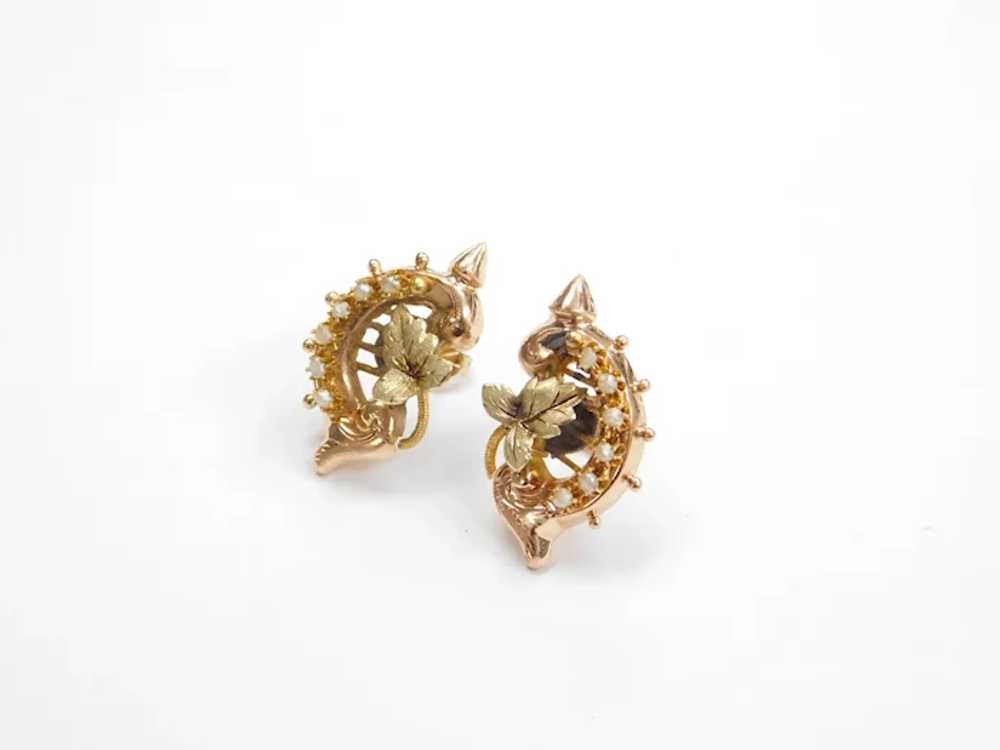 Victorian Seed Pearl Leaf Stud Earrings 14k Gold - image 3