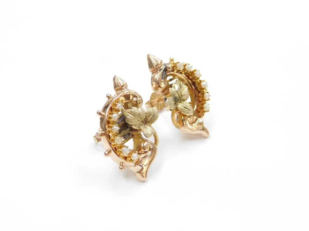 Victorian Seed Pearl Leaf Stud Earrings 14k Gold - image 4
