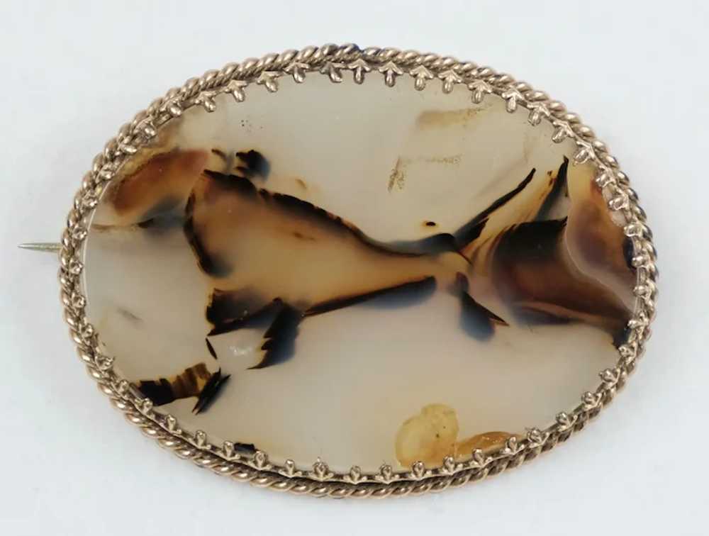 Unusual Scottish Victorian Agate Pin Brooch - image 5