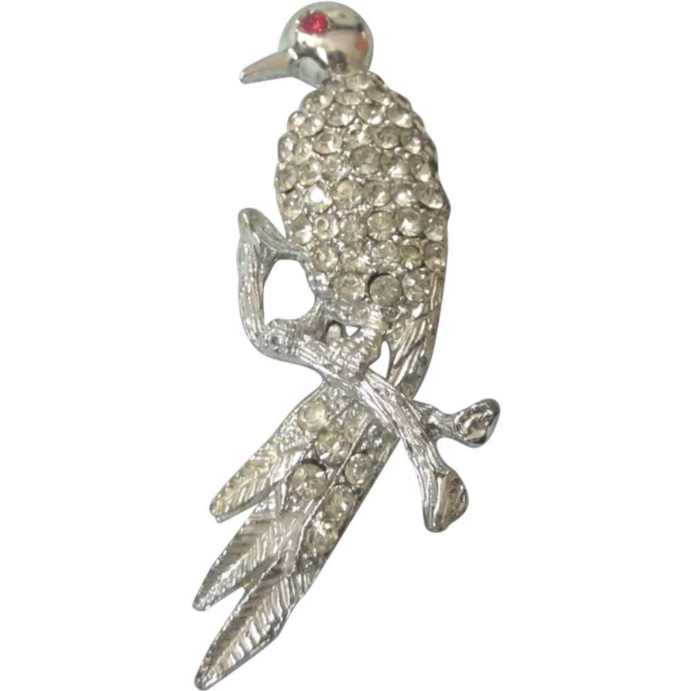 Vintage Rhinestone Tropical Bird Silvertone Brooch - image 1