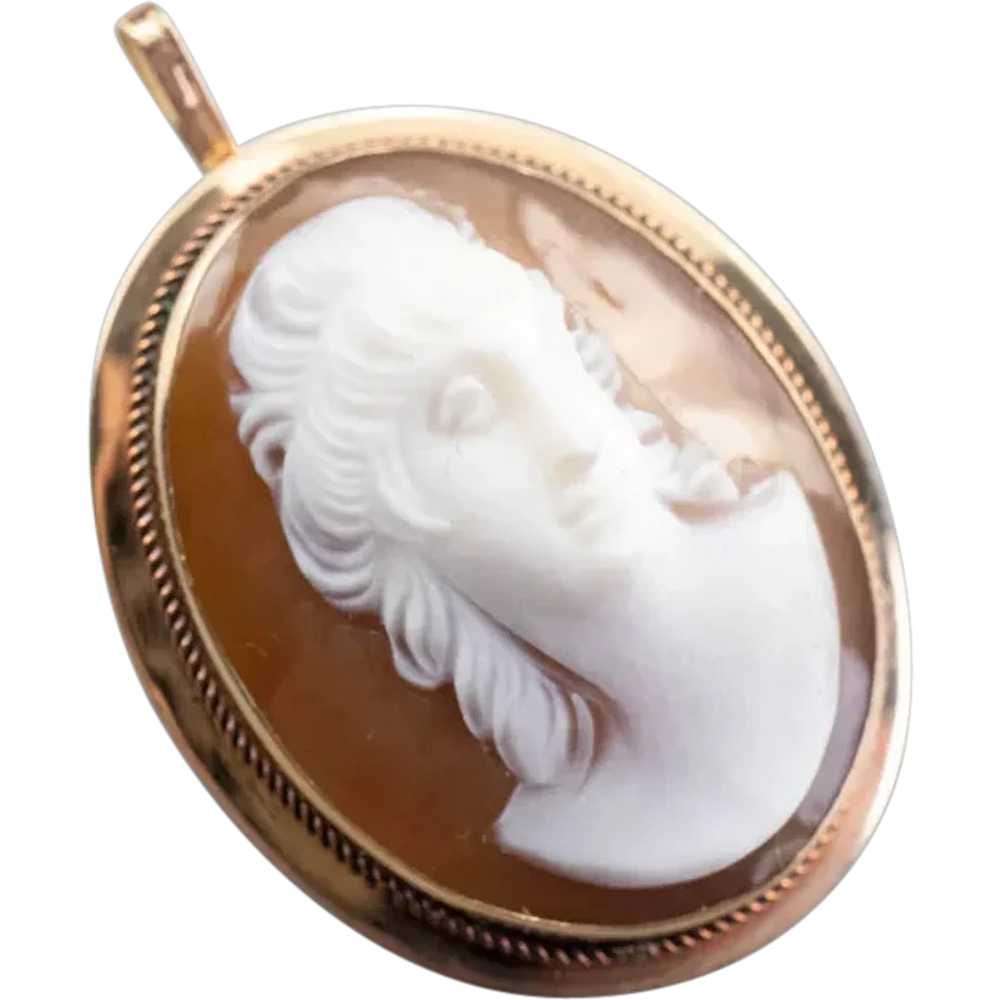 Mid-Century Cameo Brooch or Pendant - image 1