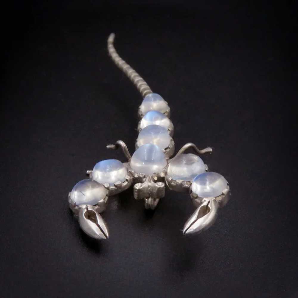 Silver Scorpion Brooch with 8 Ghost Moonstones - image 3