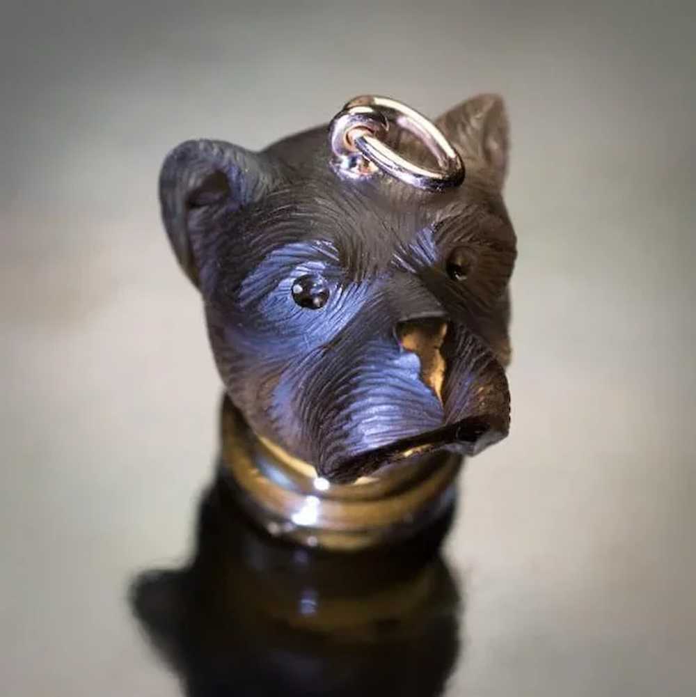 Antique Victorian 19th Century Dog’s Head Carved … - image 2