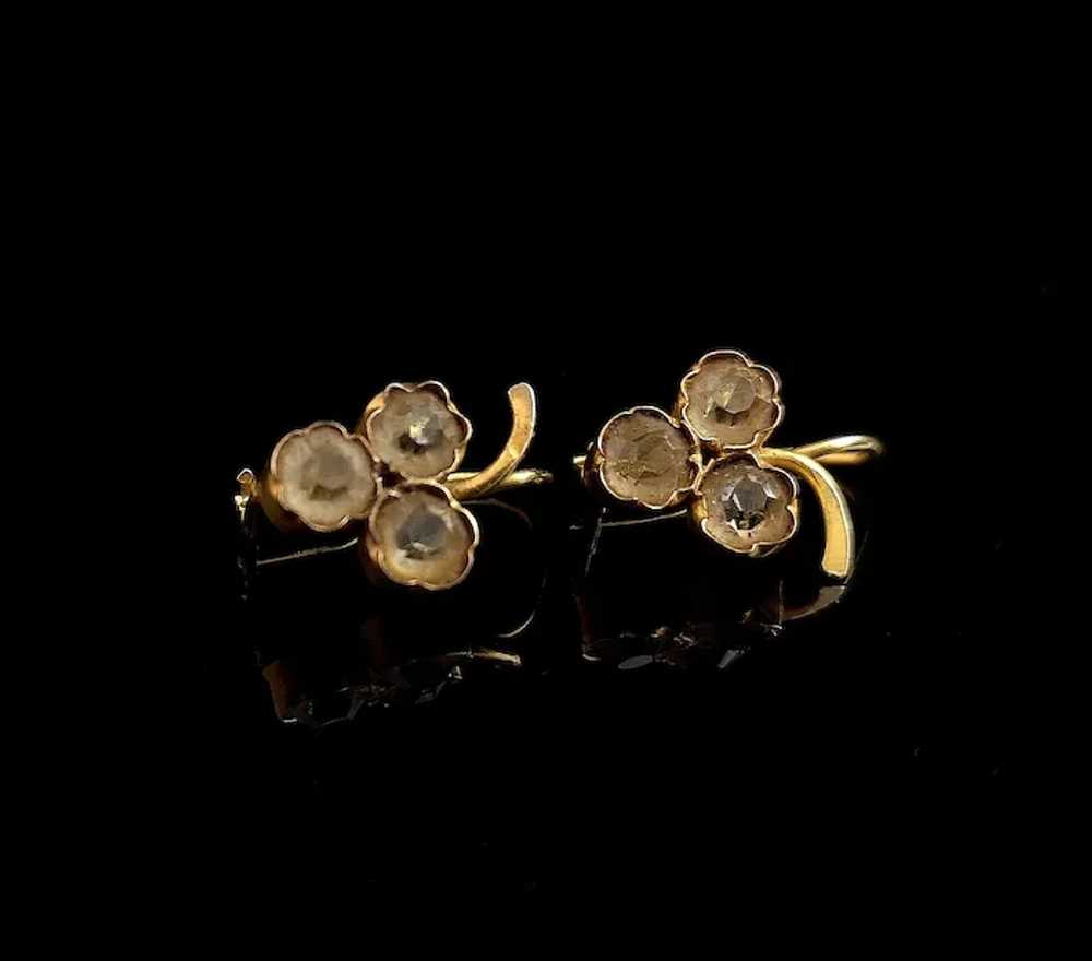 Antique Victorian 18k gold Grapes earrings, Paste - image 3