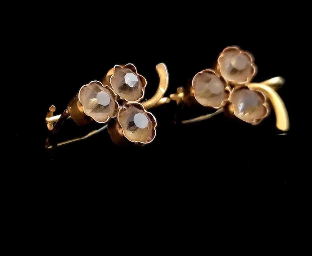 Antique Victorian 18k gold Grapes earrings, Paste - image 7