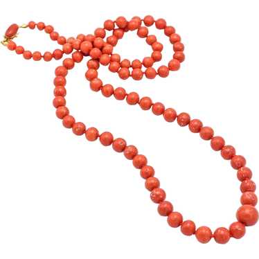 RED CORAL Necklace, 18K clasp, two strands, high qual… - Gem