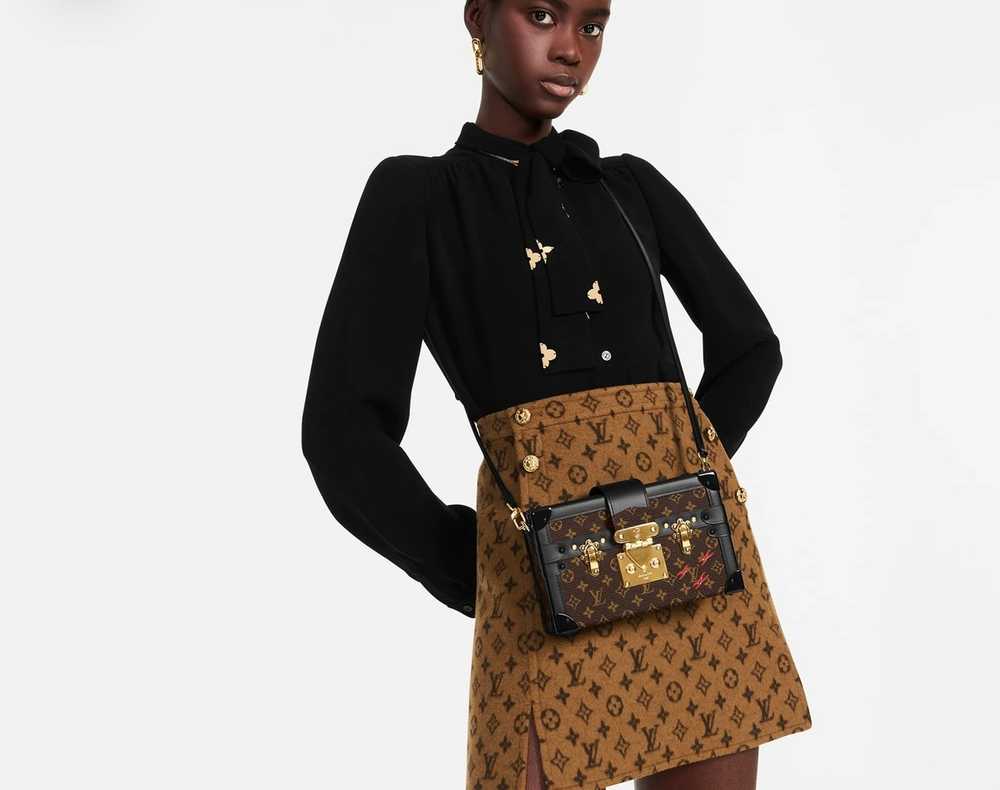 Louis Vuitton Petite Malle - Louis Vuitton DESIGN… - image 2