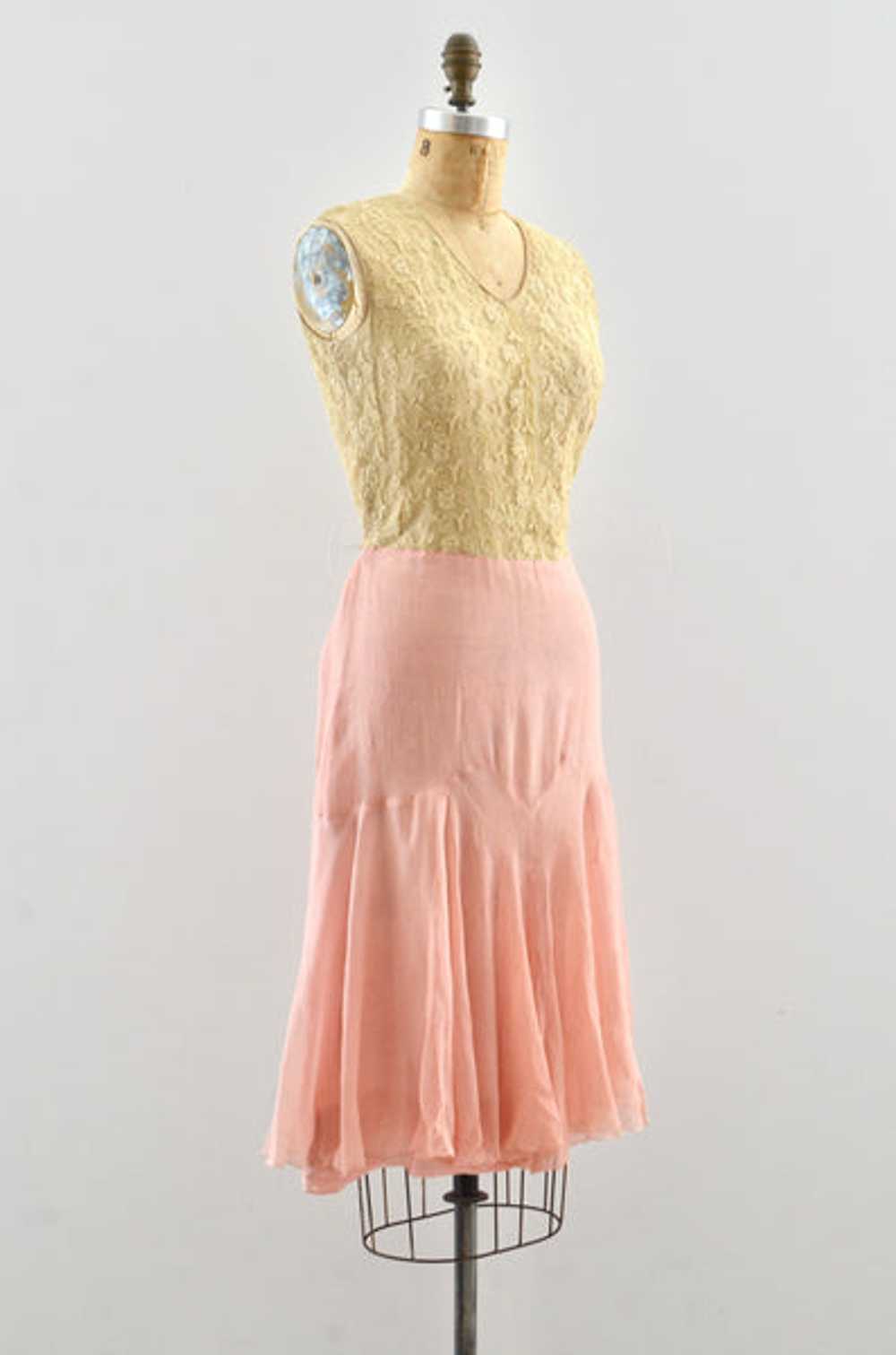 Reserved… 20's "Ambrosia" Dress - image 10