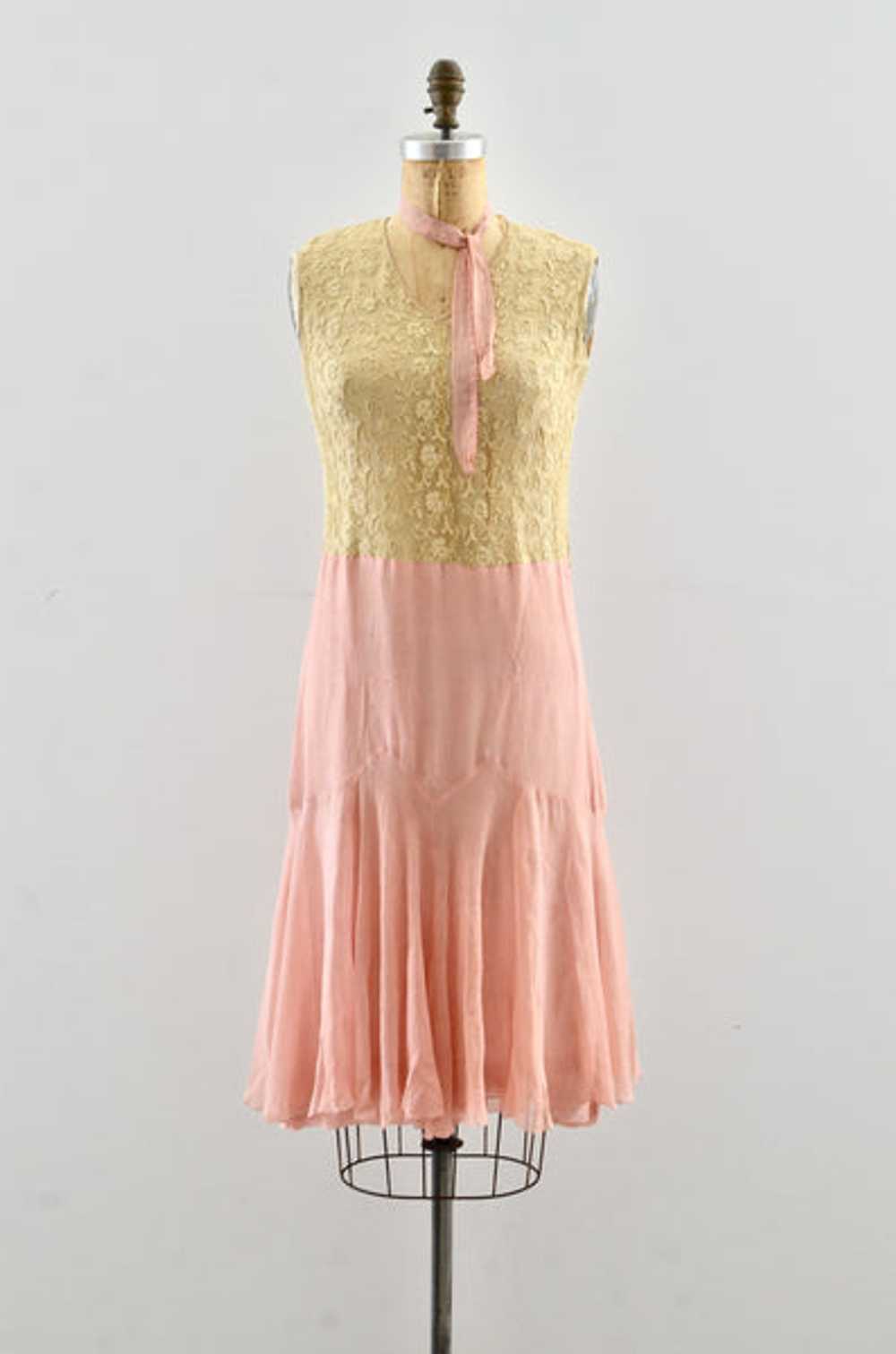 Reserved… 20's "Ambrosia" Dress - image 1
