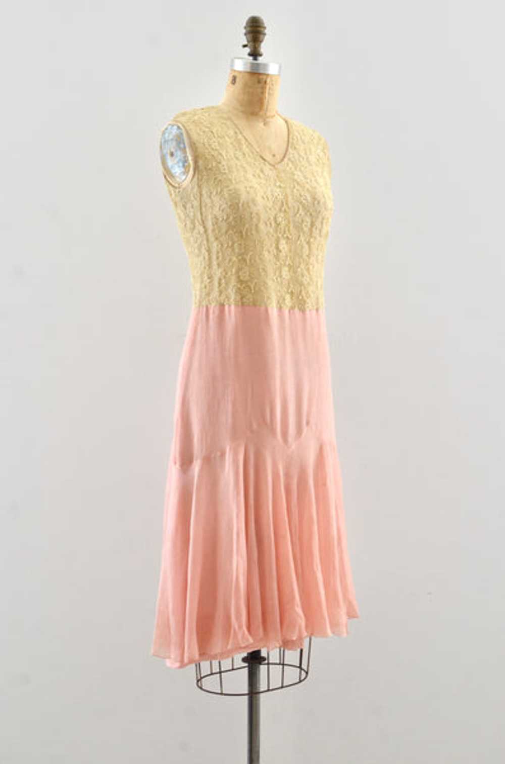 Reserved… 20's "Ambrosia" Dress - image 3