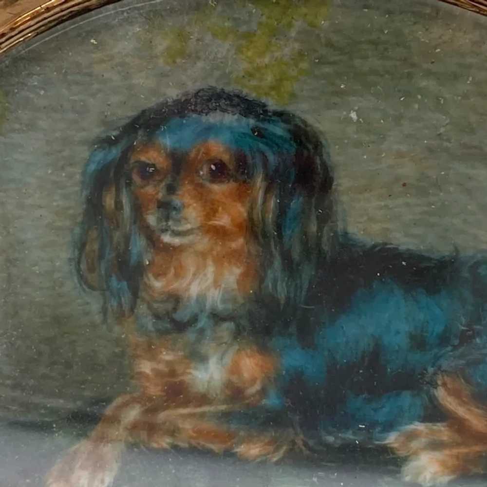 19th C Miniature Portrait Of King Charles Spaniel… - image 4
