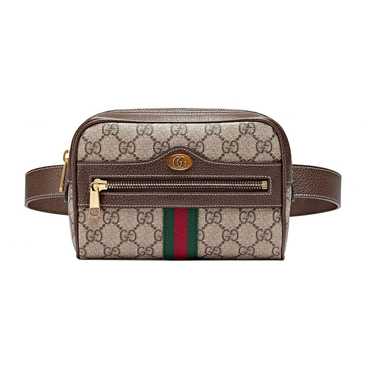 Gucci Ophidia Zip leather handbag