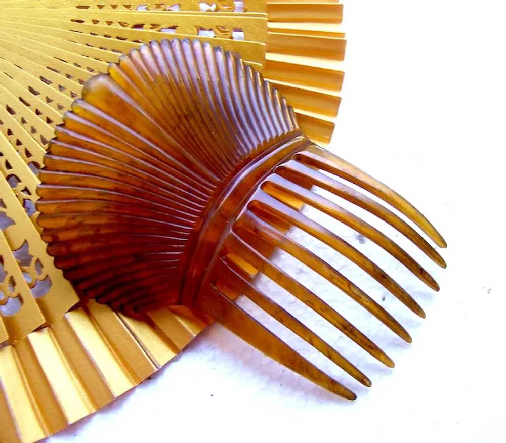 Victorian steerhorn hair comb Spanish style headp… - image 10