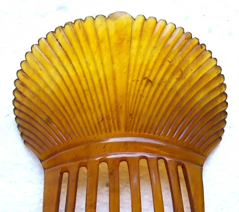 Victorian steerhorn hair comb Spanish style headp… - image 11