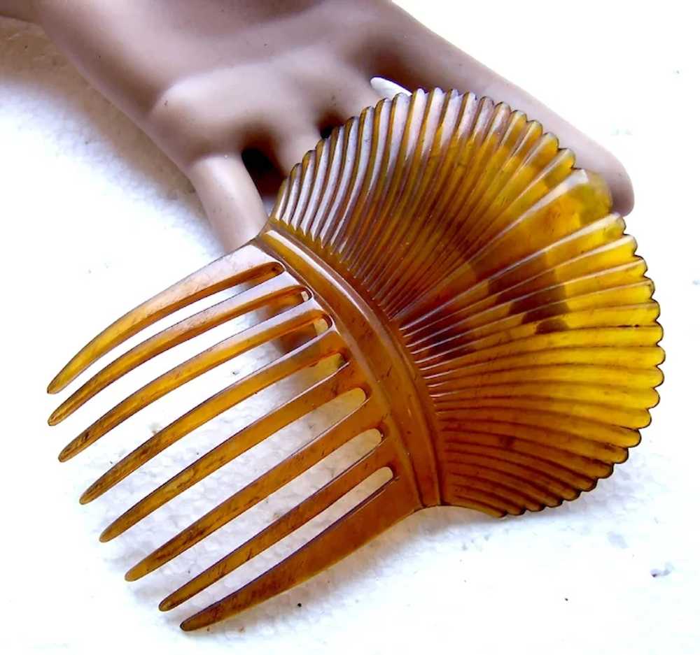 Victorian steerhorn hair comb Spanish style headp… - image 12