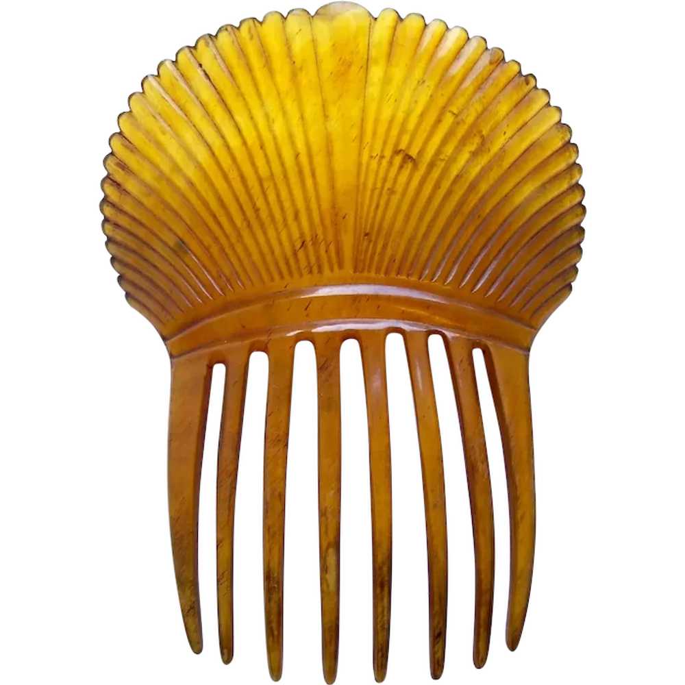 Victorian steerhorn hair comb Spanish style headp… - image 1