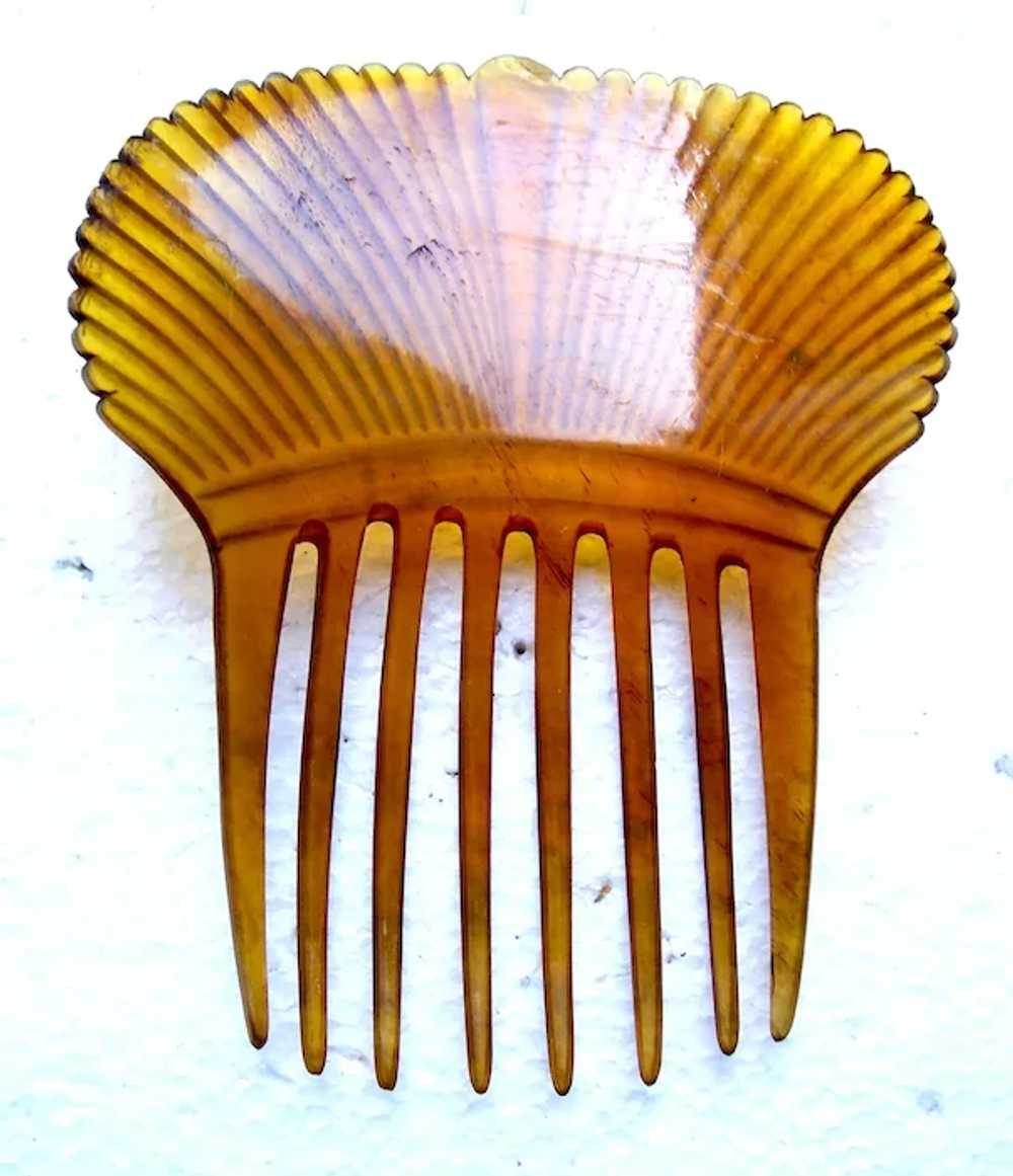 Victorian steerhorn hair comb Spanish style headp… - image 3