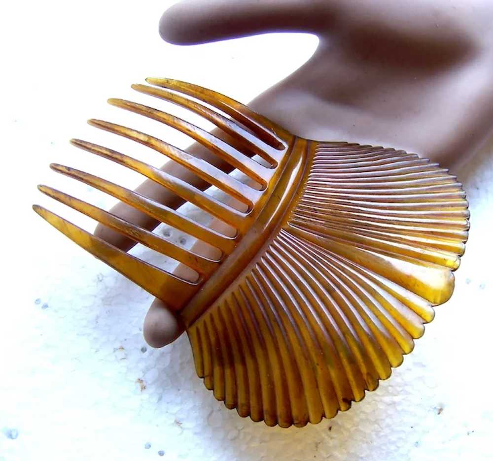 Victorian steerhorn hair comb Spanish style headp… - image 4