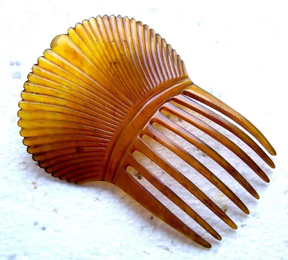 Victorian steerhorn hair comb Spanish style headp… - image 5