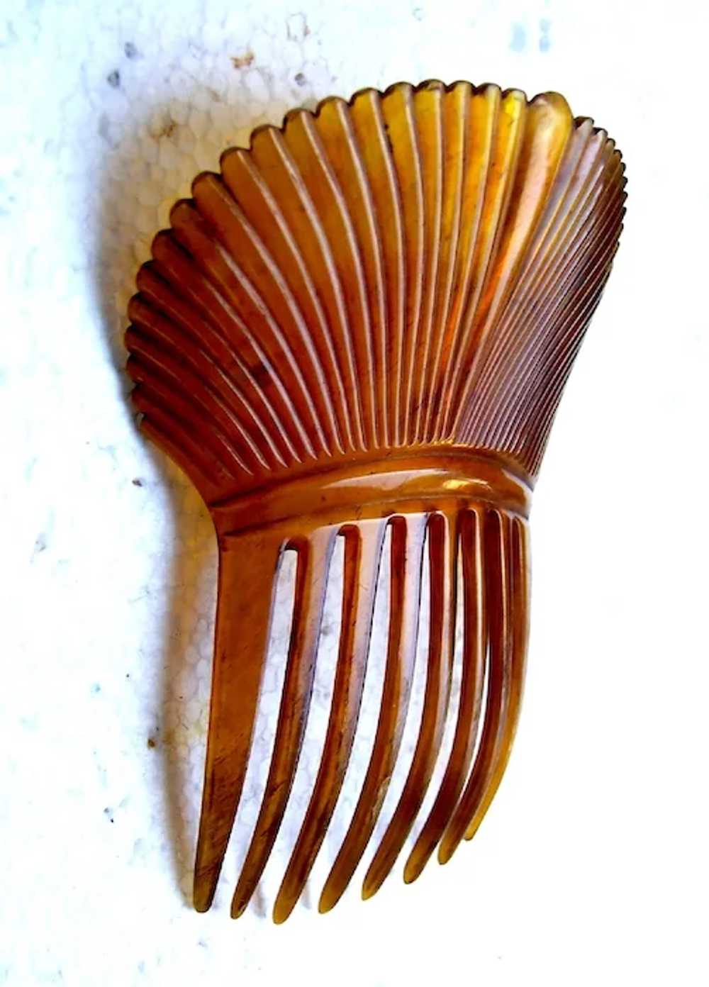 Victorian steerhorn hair comb Spanish style headp… - image 6