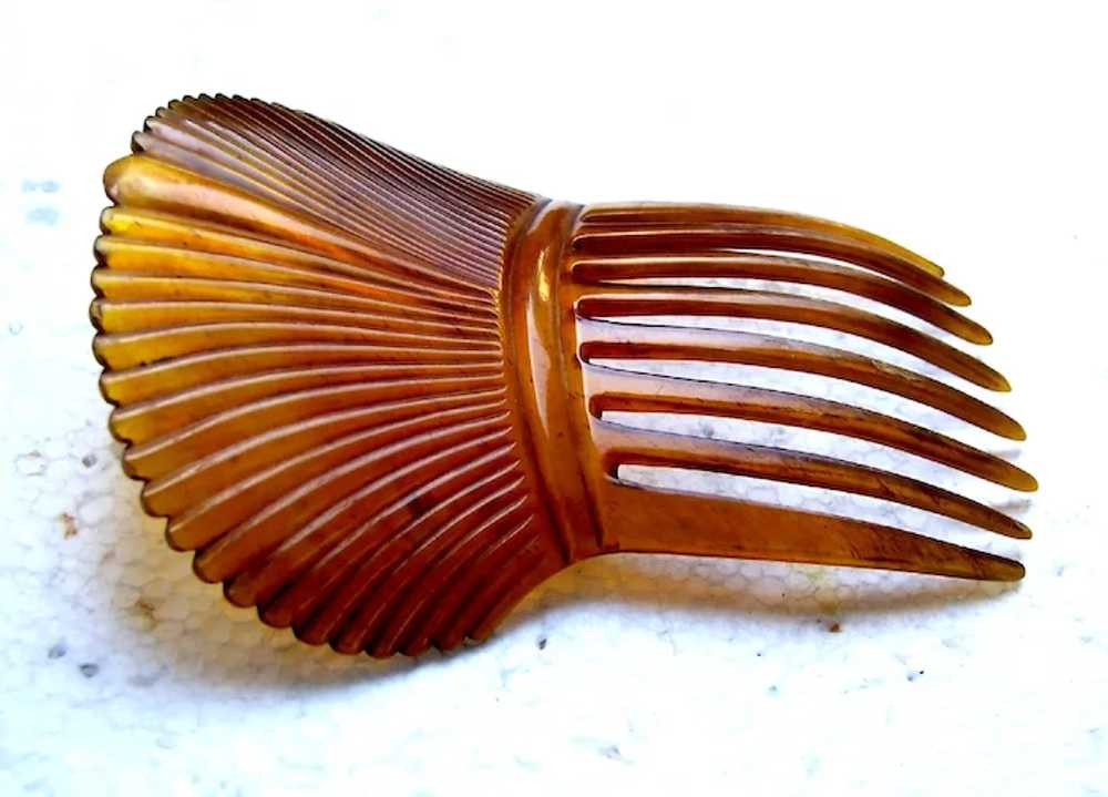 Victorian steerhorn hair comb Spanish style headp… - image 7