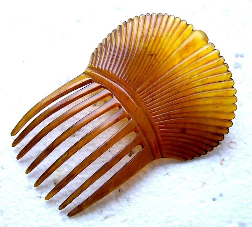 Victorian steerhorn hair comb Spanish style headp… - image 8