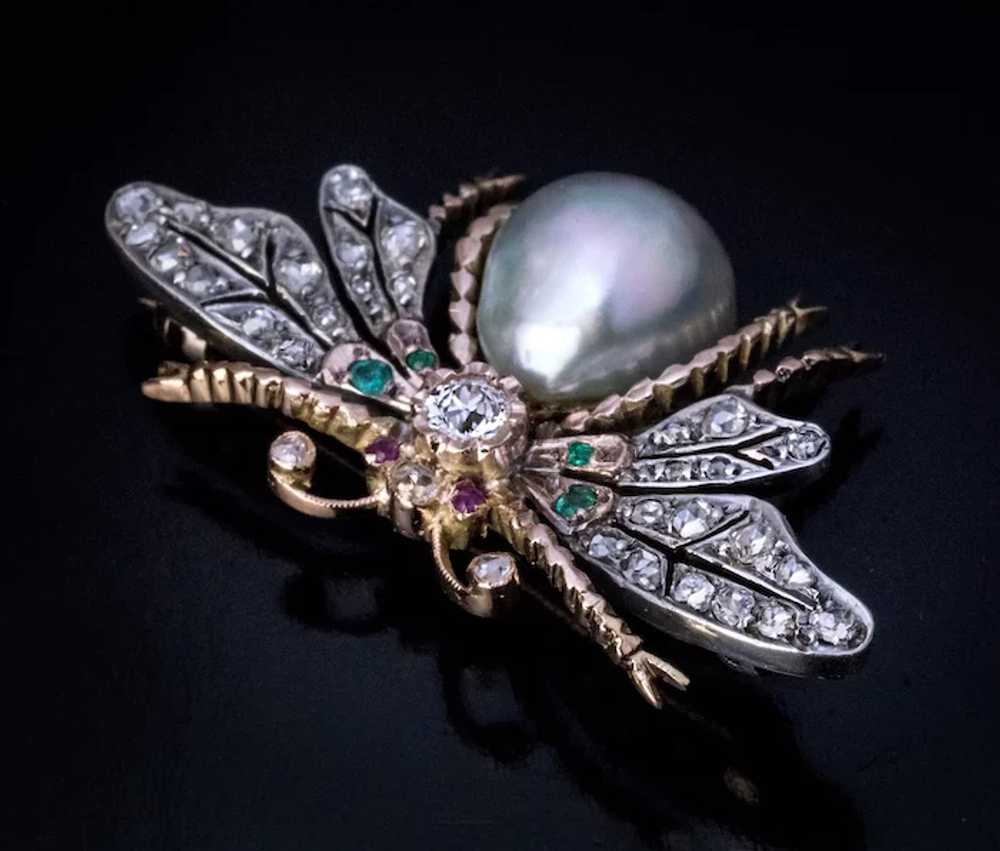 19th Century Antique Jeweled Butterfly Brooch Pin - image 2