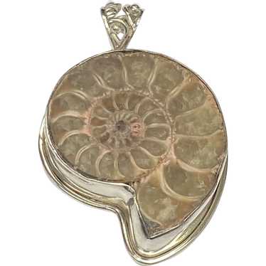 Nautilus Shell Pendant – The Bronze Lady