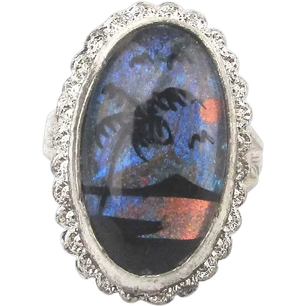 Vibrant 1950s Vintage Butterfly Wing Ring - image 1