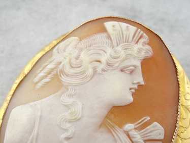 Over-sized Shell Cameo Brooch from Early 1900's - image 1