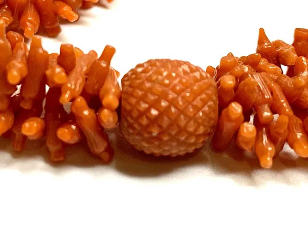 Antique Georgian Coral Necklace - image 3