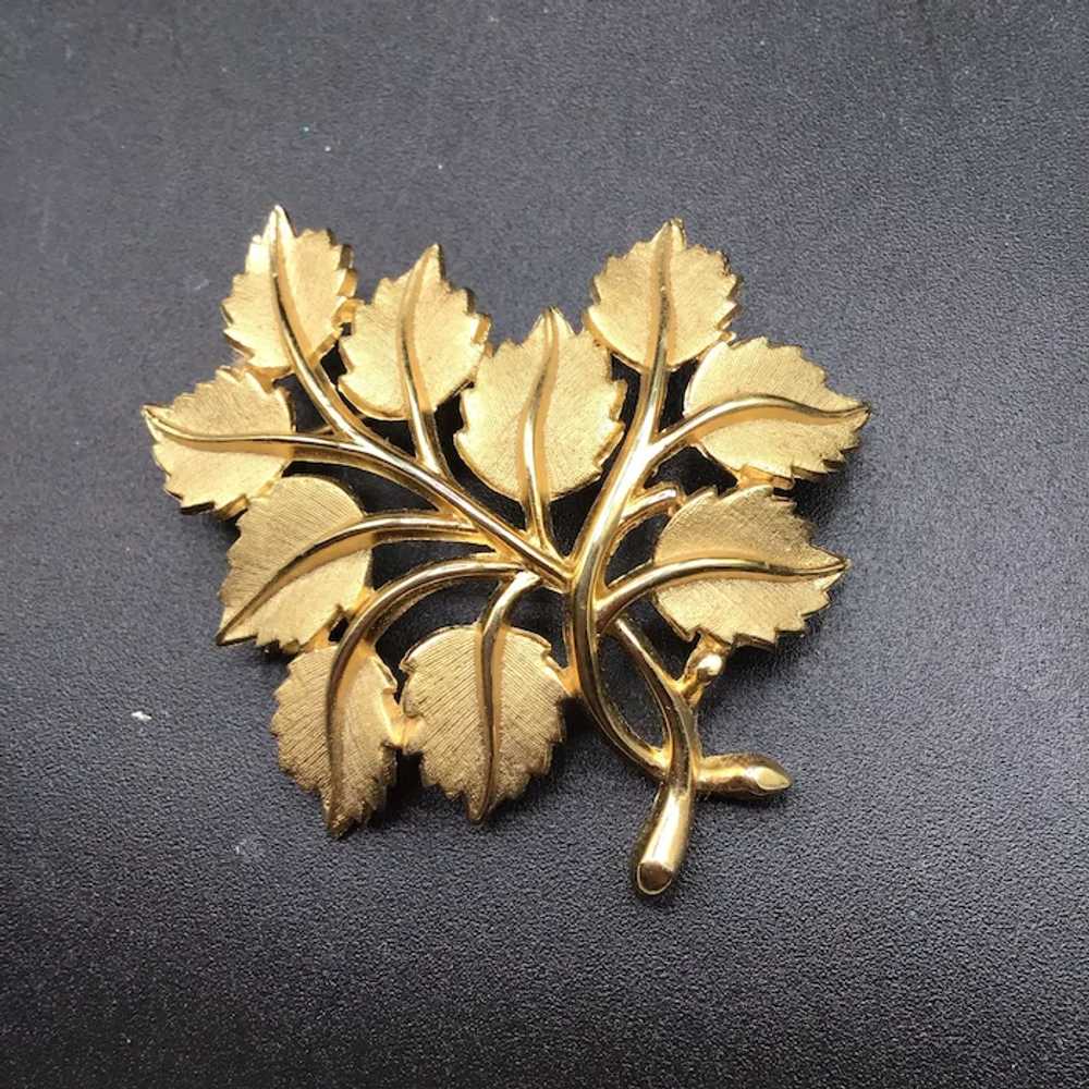Vintage Crown Trifari Gold Tone Brooch Leaf Branc… - image 2
