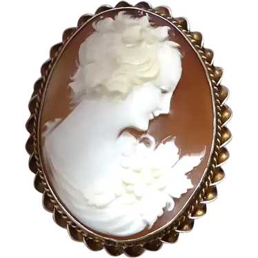 Carnelian Shell Cameo Pin Sterling Gold Wash Frame - image 1