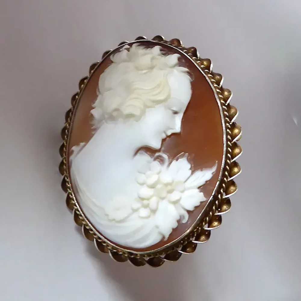 Carnelian Shell Cameo Pin Sterling Gold Wash Frame - image 9