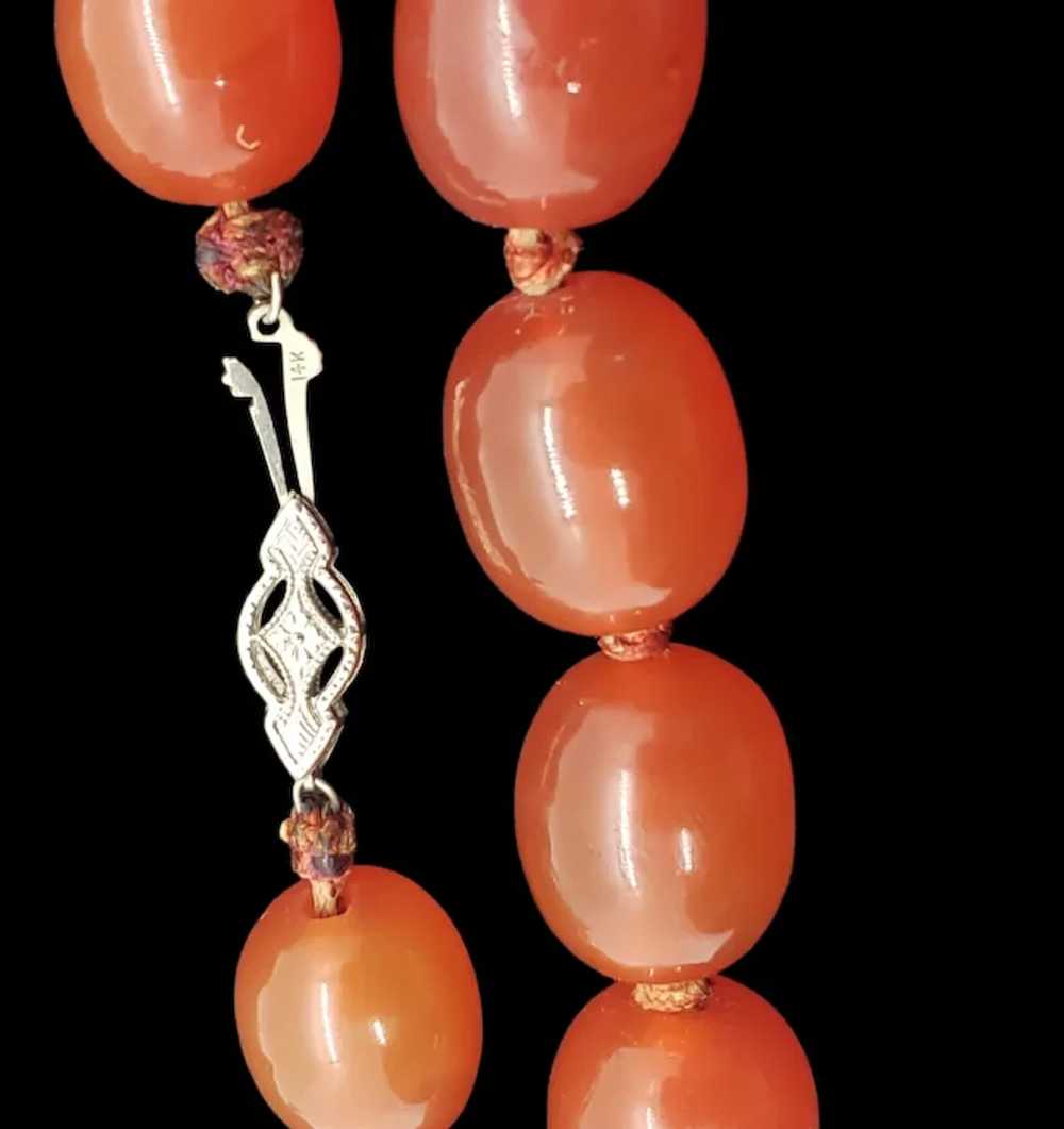 Queen Anne Era Exquisite Carved Carnelian 14K Whi… - image 3