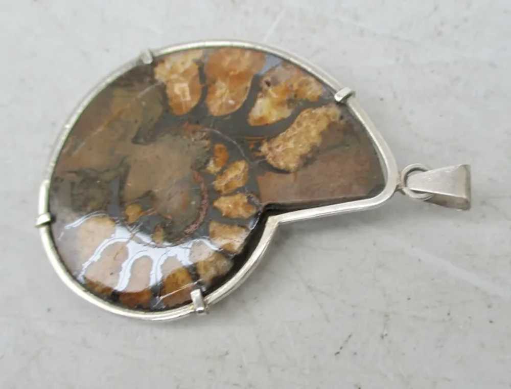 Ammonite and Sterling Pendant - image 3