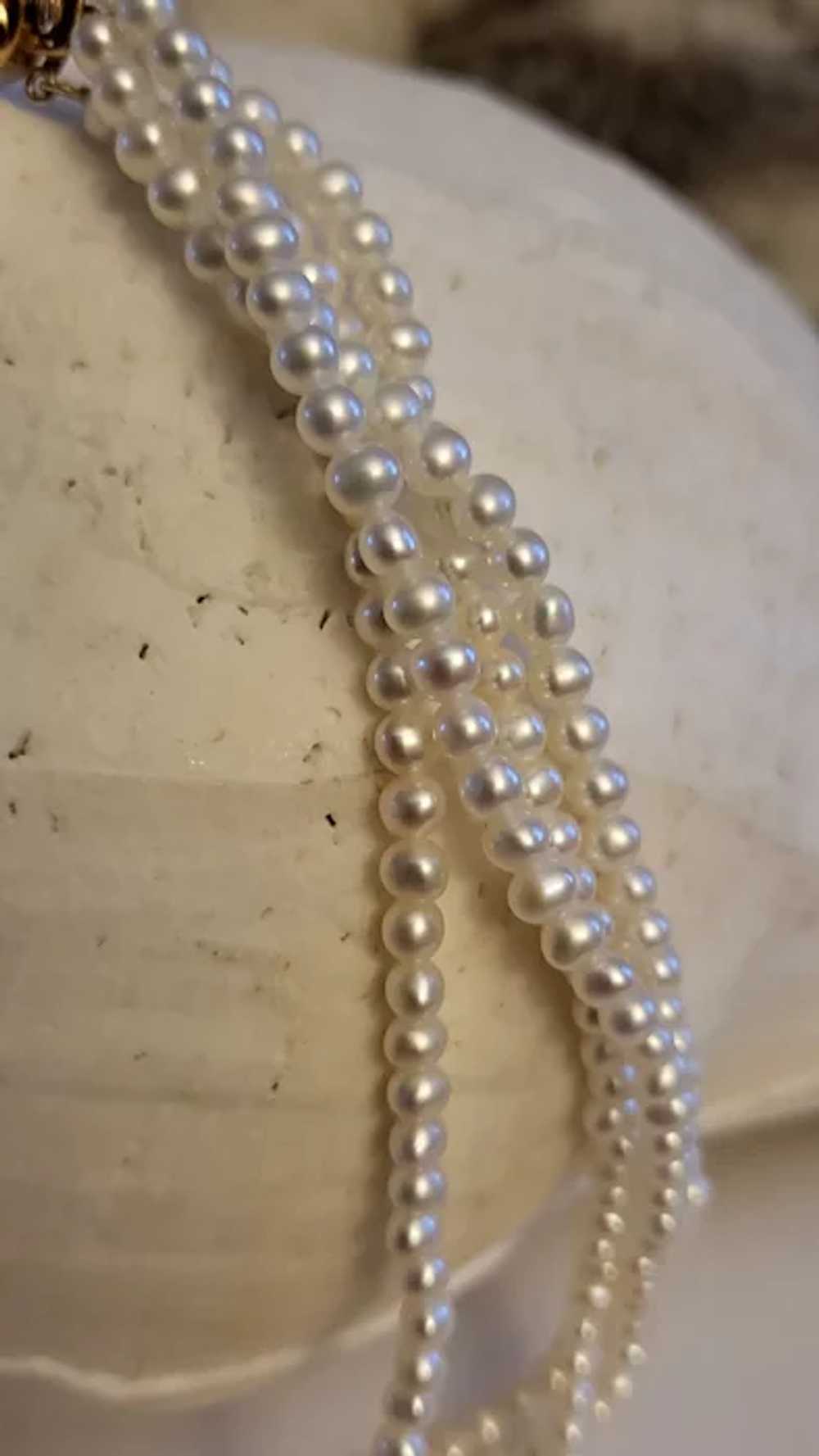 14K Claps Cultured Pearl 3mm Multiple Necklace - image 4