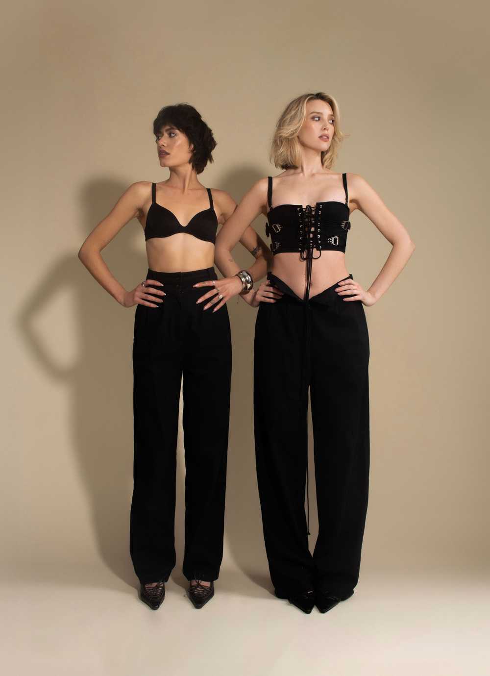 Roni Pleated Trouser - image 1