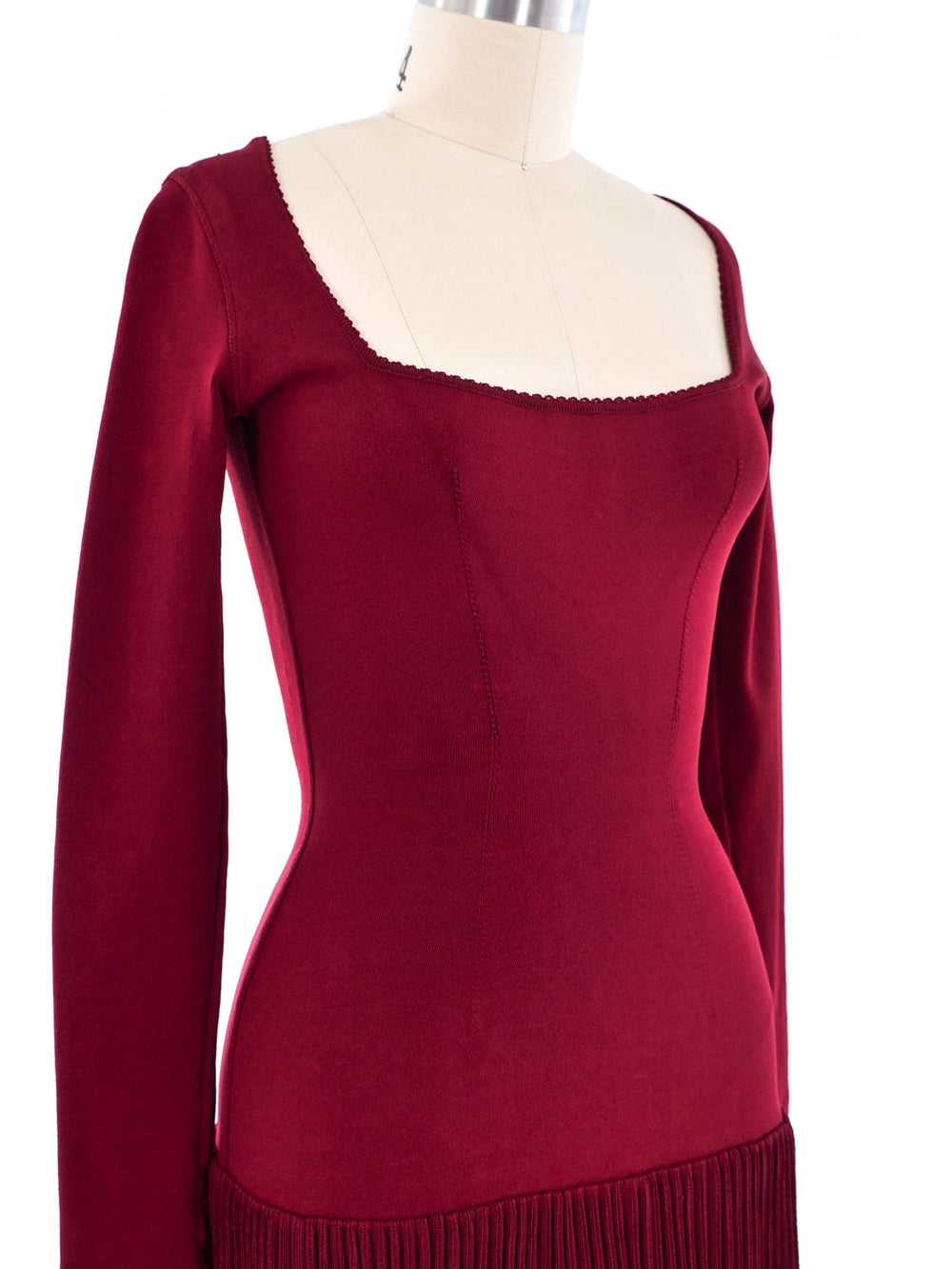 Alaia Cranberry Fit and Flare Ruffle Dress - image 4